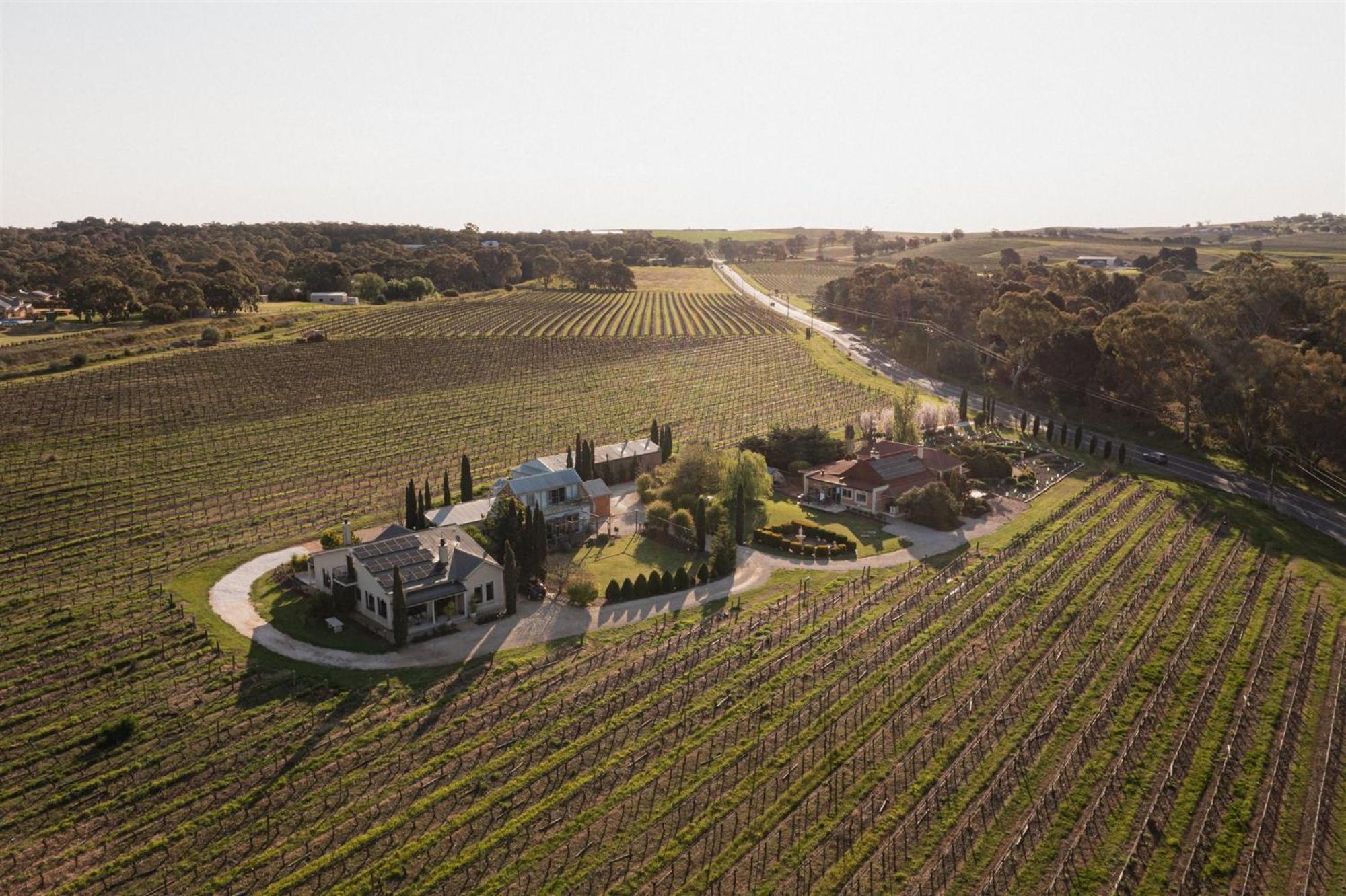 Vila Barossa Shiraz Estate Lyndoch Exteriér fotografie