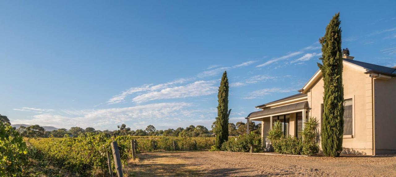 Vila Barossa Shiraz Estate Lyndoch Exteriér fotografie